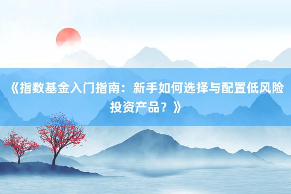《指数基金入门指南：新手如何选择与配置低风险投资产品？》